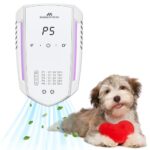 Best Air Purifier for Cat Litter