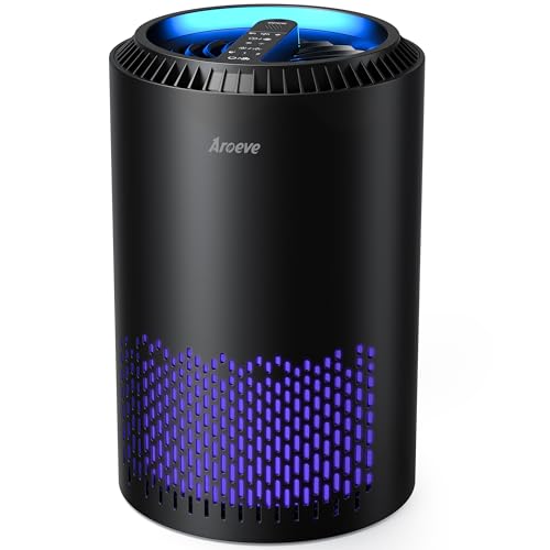 Best Air Purifier for Cigarette Smoke Removal