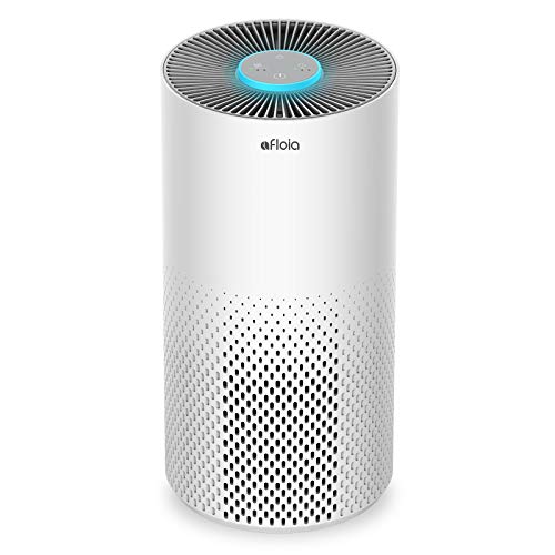 Best Air Purifier for Dust Mite Allergies