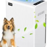 Best Air Purifier for Large Rooms With Pets