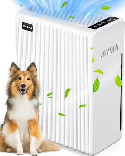 Best Air Purifier for Large Rooms With Pets