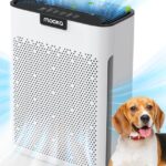 Best Air Purifier for Pets Large Rooms