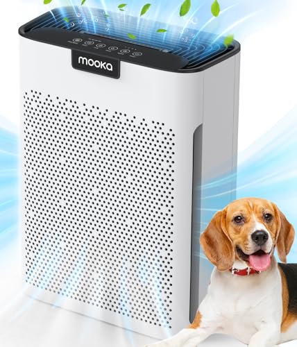 Best Air Purifier for Pets Large Rooms