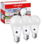 Best Bulb for Outdoor Lighting