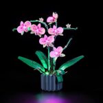 Best Lighting for Orchids