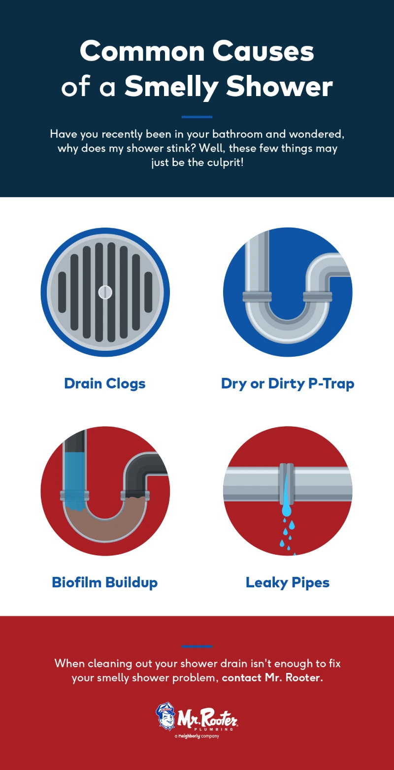 How to Get Rid of Basement Shower Drain Smell