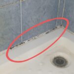 How to Get Rid of Black Mold in Shower