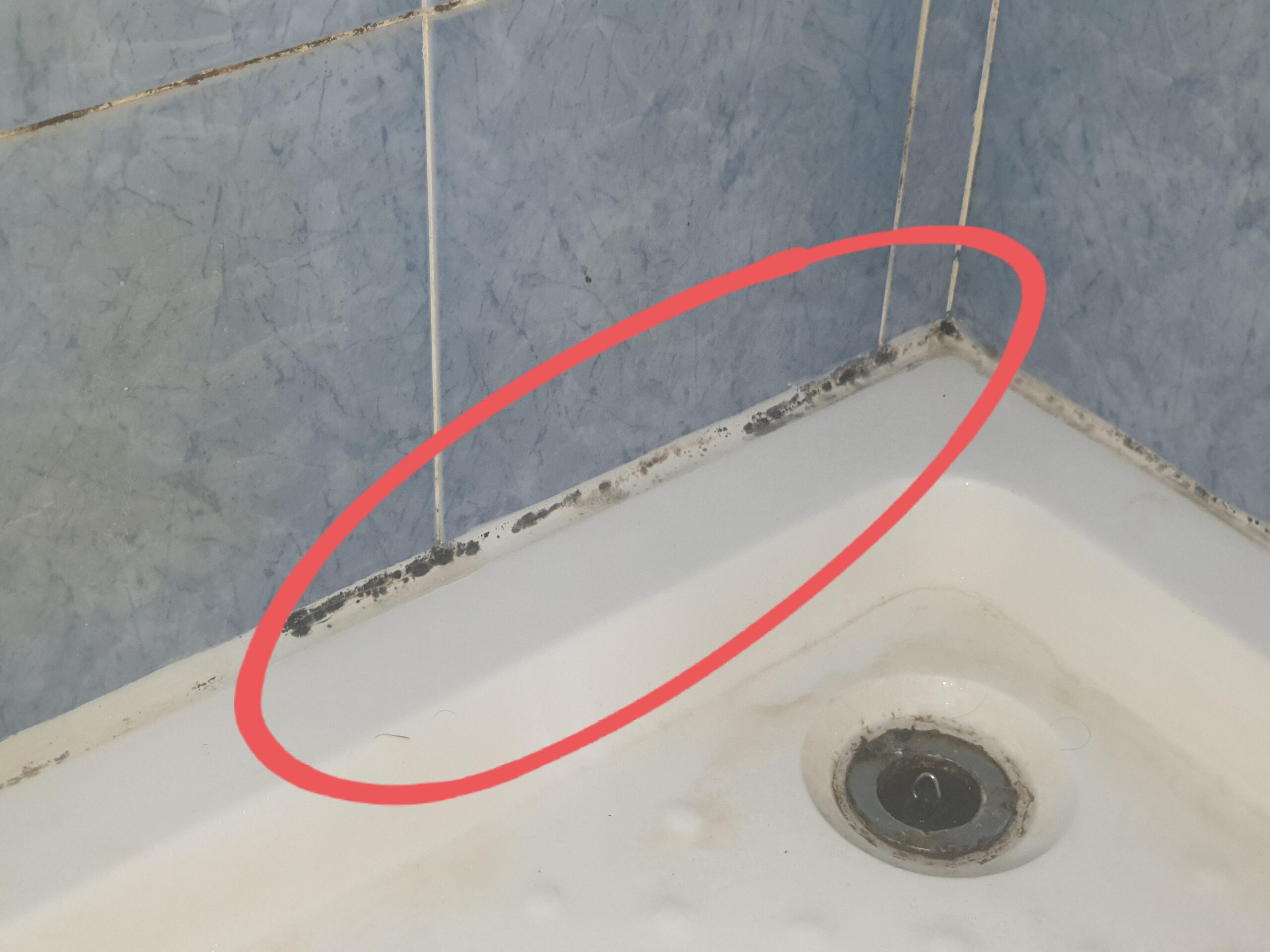 How to Get Rid of Mold in Shower